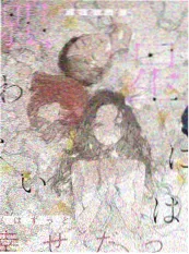 野外来信 自然纪录综艺海报